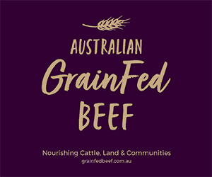 - Grain Fed Beef Website